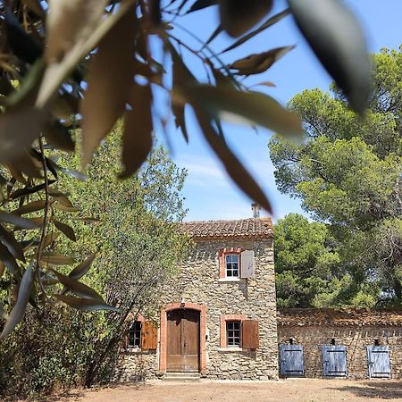 Mazet Du Chateau Joyeux De Violet Pepieux Bagian luar foto